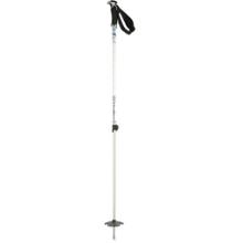 Black Diamond Boundary Adjustable Ski Poles