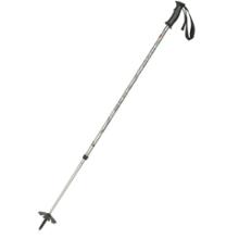 MSR Denali II Snowshoe Poles