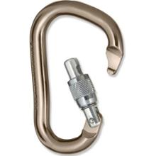 Black Diamond Rocklock Screwgate Carabiner - '08 Blemished