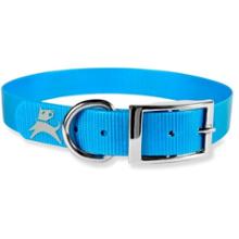 OllyDog Presidio Dog Collar - 16 x 0.75 in. - '09 Closeout