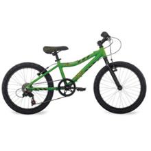 Raleigh Rowdy 20" Kids\' Bike - 2010