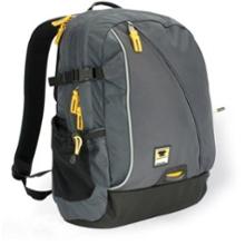 Mountainsmith Cruiser Laptop Pack - 18 Liters - \'09 Overstock
