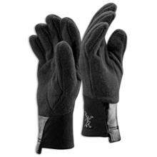 Arc\'teryx Delta AR Gloves