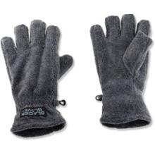 Glacier Glove All Fleece Fingerless Gloves - 2010 Overstock