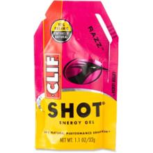 Clif Shot Energy Gel - 2010 Closeout