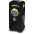 Eton FRX2...
