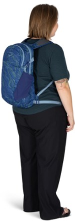 Daylite Pack Special Edition