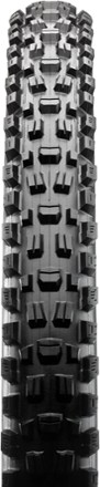 Assegai 3C MaxxTerra EXO Tire