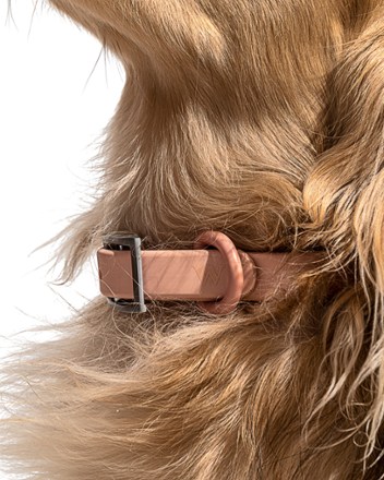 Waterproof Dog Collar