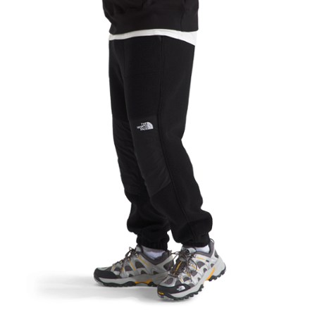 Retro Denali Pants - Men's