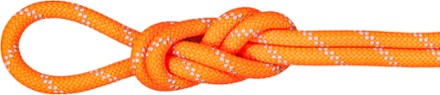 Alpine 9.5 mm x 60 m Dry Rope