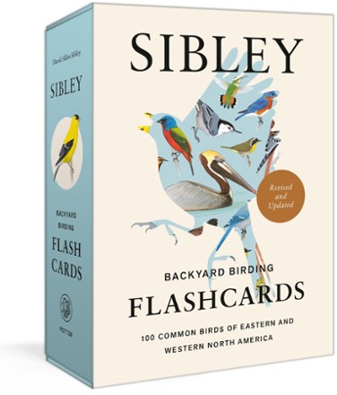 Sibley Backyard Birding Flash Cards