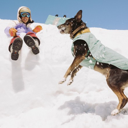 Stumptown Dog Jacket