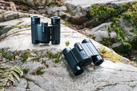 Stabilized 12 x 25 S Binoculars