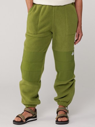 Ripstop Denali Pants - Women's