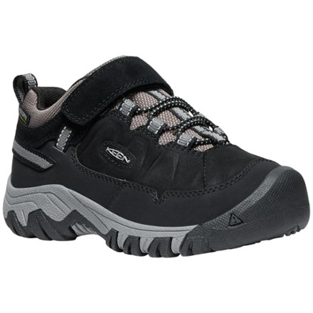 Targhee IV Low Waterproof Hiking Shoes