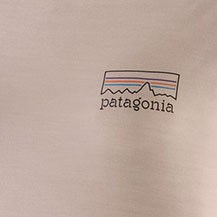 Long-Sleeve Capilene Cool Merino Graphic Shirt - Women's