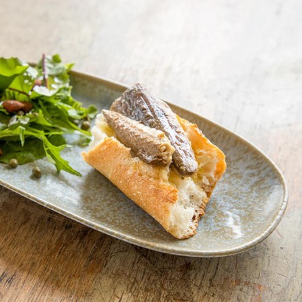 Mackerel