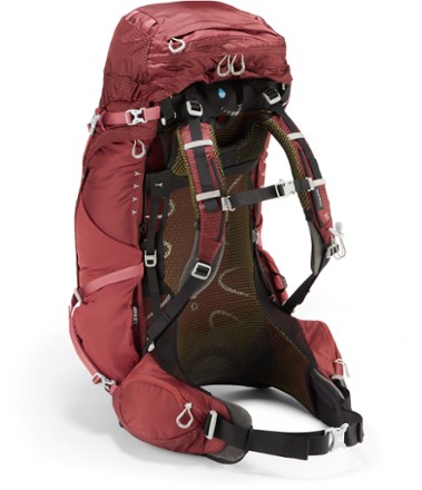 Aura AG 50 Pack - Women's