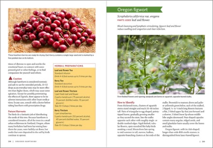 Pacific Northwest Medicinal Plants