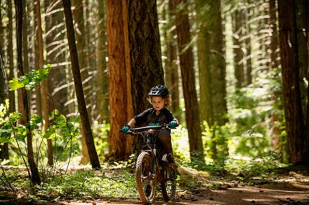 Wilder Jr. Mips Bike Helmet - Kids'