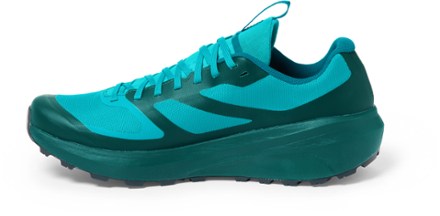 Norvan LD 3 GTX Trail-Running Shoes