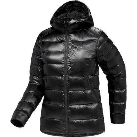 Cerium SV Down Hoody - Women's