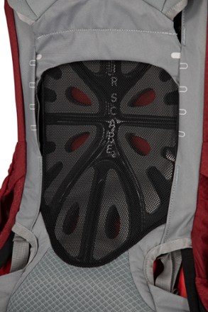 Ariel 55 Pack