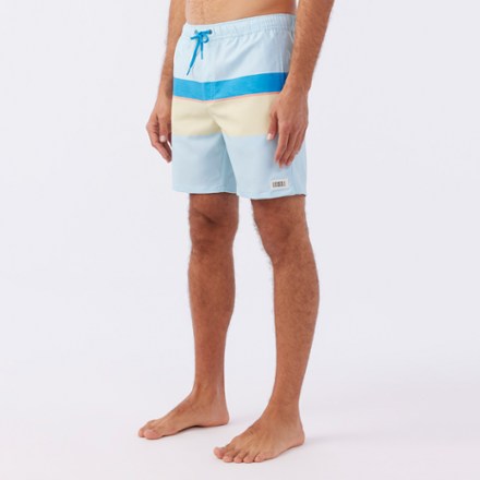 Block Volley Elastic Waist 17" Swim Trunks - Men's