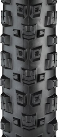 Warwick Light & Supple Tire - 29