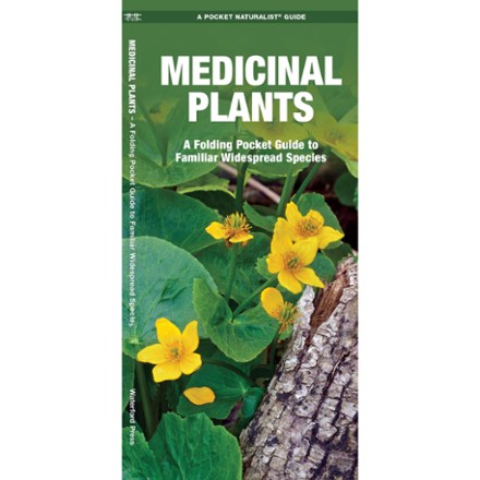 Medicinal Plants Pocket Guide