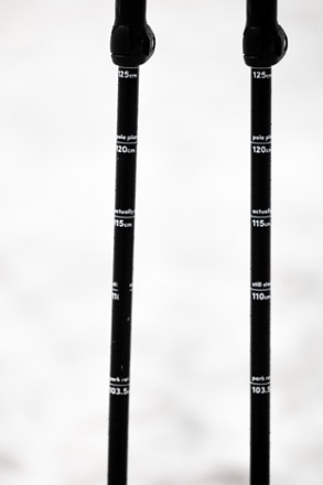 Vision Ski Poles - Pair