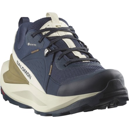 Elixir GORE-TEX Hiking Shoes - Men's