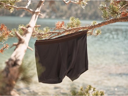 ReadyDry 4" Boxer Briefs - Men's