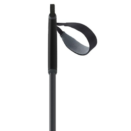 BC Off Track Ski Poles