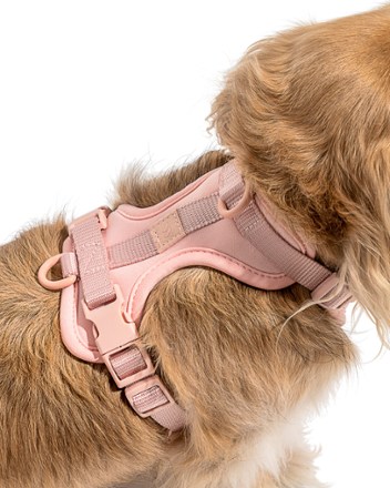 Dog Harness