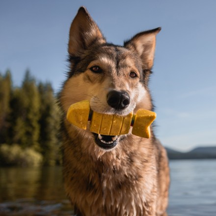 Doggone Fishin' Super Chewer Dog Toy