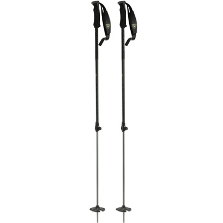 BC 100 Poles