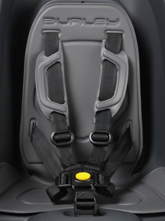 Dash RM Child Bike Seat