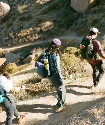 Stretch Zion Cargo Pants - Women's