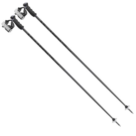 Detect S Ski Poles - Pair