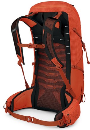 Talon Pro 30 Pack - Men's