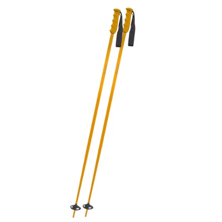 Rider TI Ski Poles - Pair