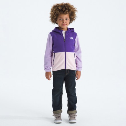 Glacier Full-Zip Hoodie - Toddlers'