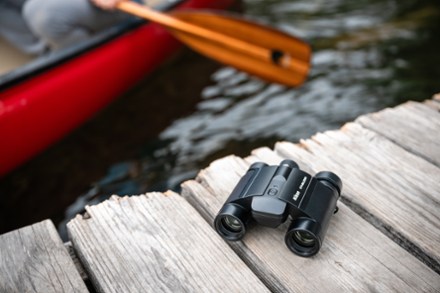 Stabilized 12 x 25 S Binoculars