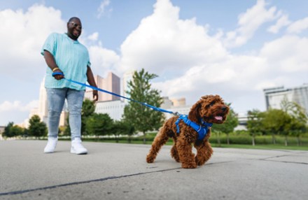 Front Range Dog Harness