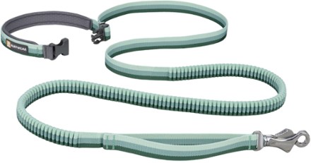 Roamer Leash