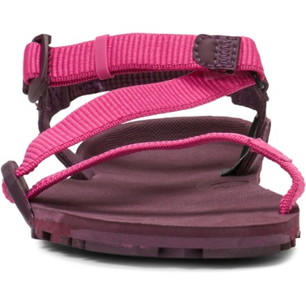 Xero Shoes Z-Trail EV Sandals - Women's | The Summit