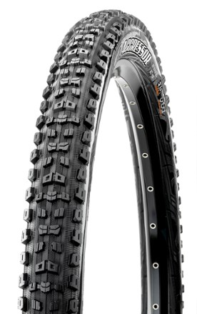 Aggressor EXO / TR Mountain Bike Tire