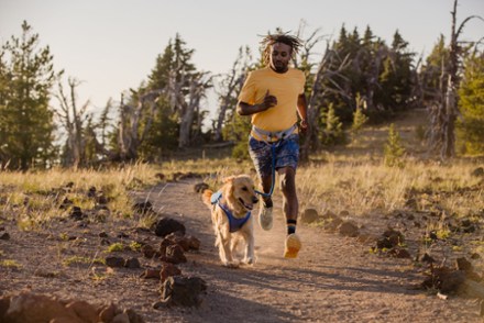 Trail Runner Belt